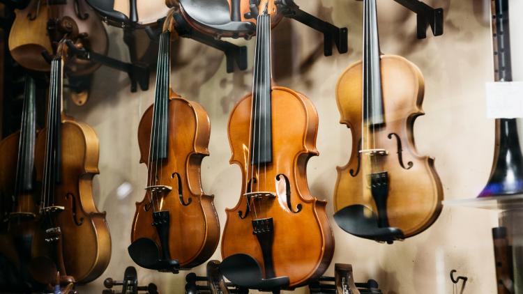 main of The Musically Inclined Have Many String Instruments To Choose From