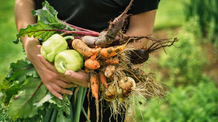 main of ating Organic Has Become Easier Than Ever Before